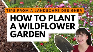 How to start a wildflower garden  Advice from a landscape designer