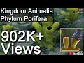 Learn Biology: Kingdom Animalia: Phylum Porifera |iKen | iKen Edu | iKen App