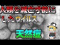 【ゆっくり解説】人類を滅亡寸前まで追い込んだ最強ウイルス　天然痘とは！？