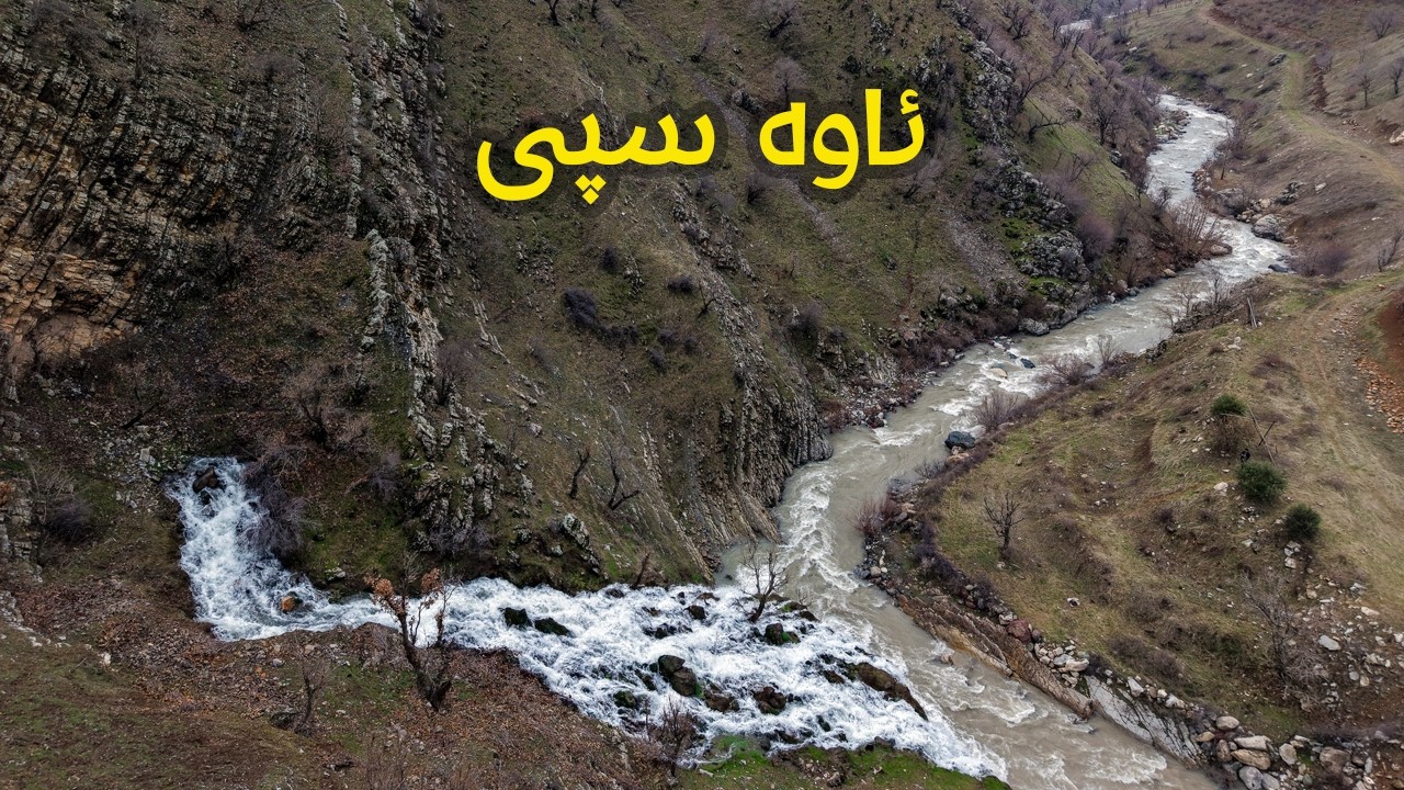 ئاوە سپی - باڵەكایەتی