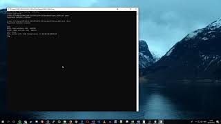 Searching and sorting algorthms console application show case.