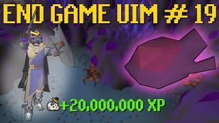 I Spent 100+ Hours For THIS One Item [END GAME UIM #19] screenshot 3