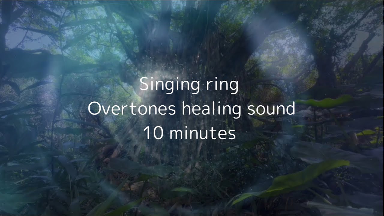 10分【瞑想・安眠】世界で唯一の全倍音を奏でるシンギング•リンと自然