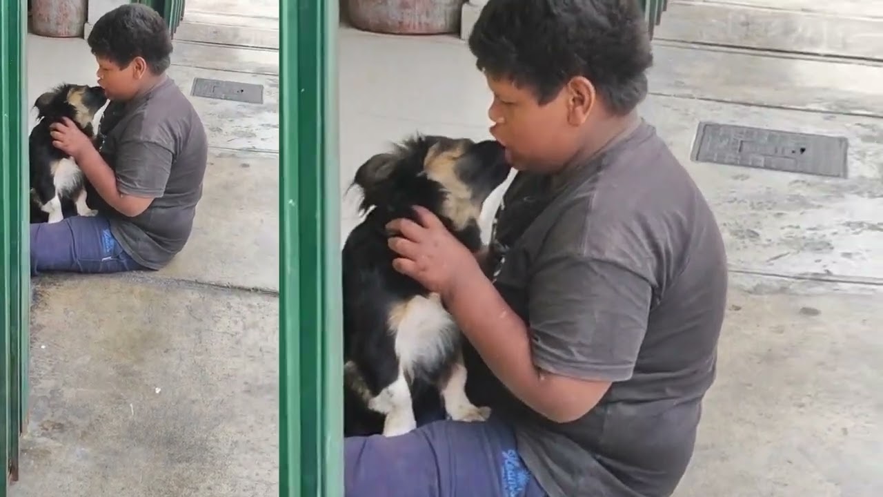 niño besa a perro en la boca