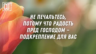 Веселое сердце благотворно, как врачевство, а унылый дух сушит кости | Библия