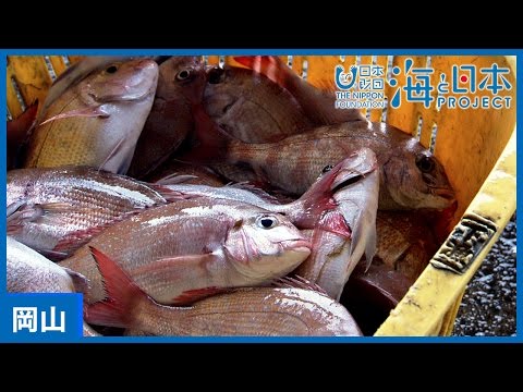 #2 港町・下津井｜海と日本PROJECT in 岡山