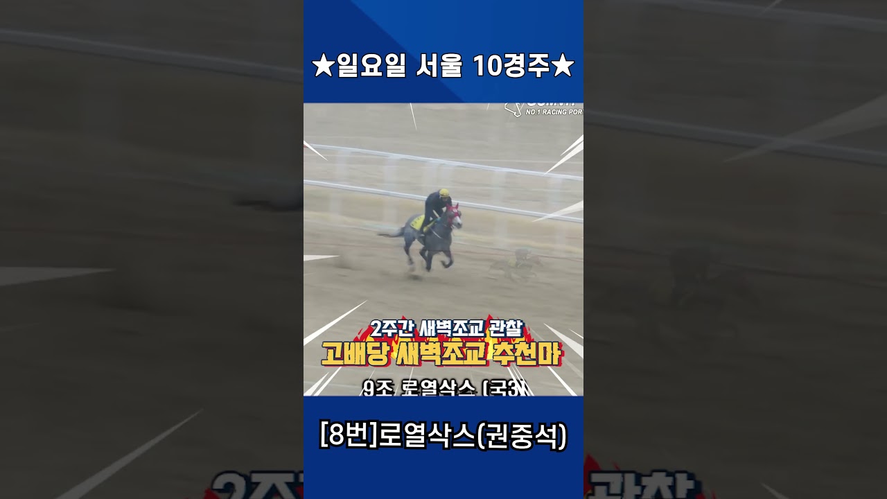 4월12일 일요일 서울 10경주!! 2주간 훈련보인 강백호의 새벽조교 쏘스마!!