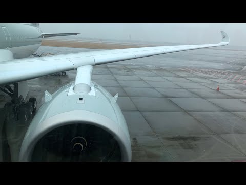 Qatar Airways Airbus A350-1000 Economy | Islamabad to Doha | Flight QR615