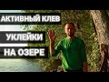 АКТИВНЫЙ КЛЕВ УКЛЕЙКИ НА ОЗЕРЕ | РЫБАЛКА НА ПОПЛАВОК | Ловля верхоплавки на Суходольском в Лосево