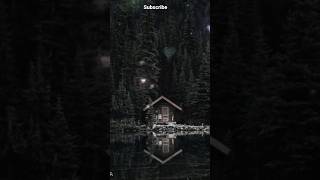 Oh Ho Ho Song sadstatus sad Forest