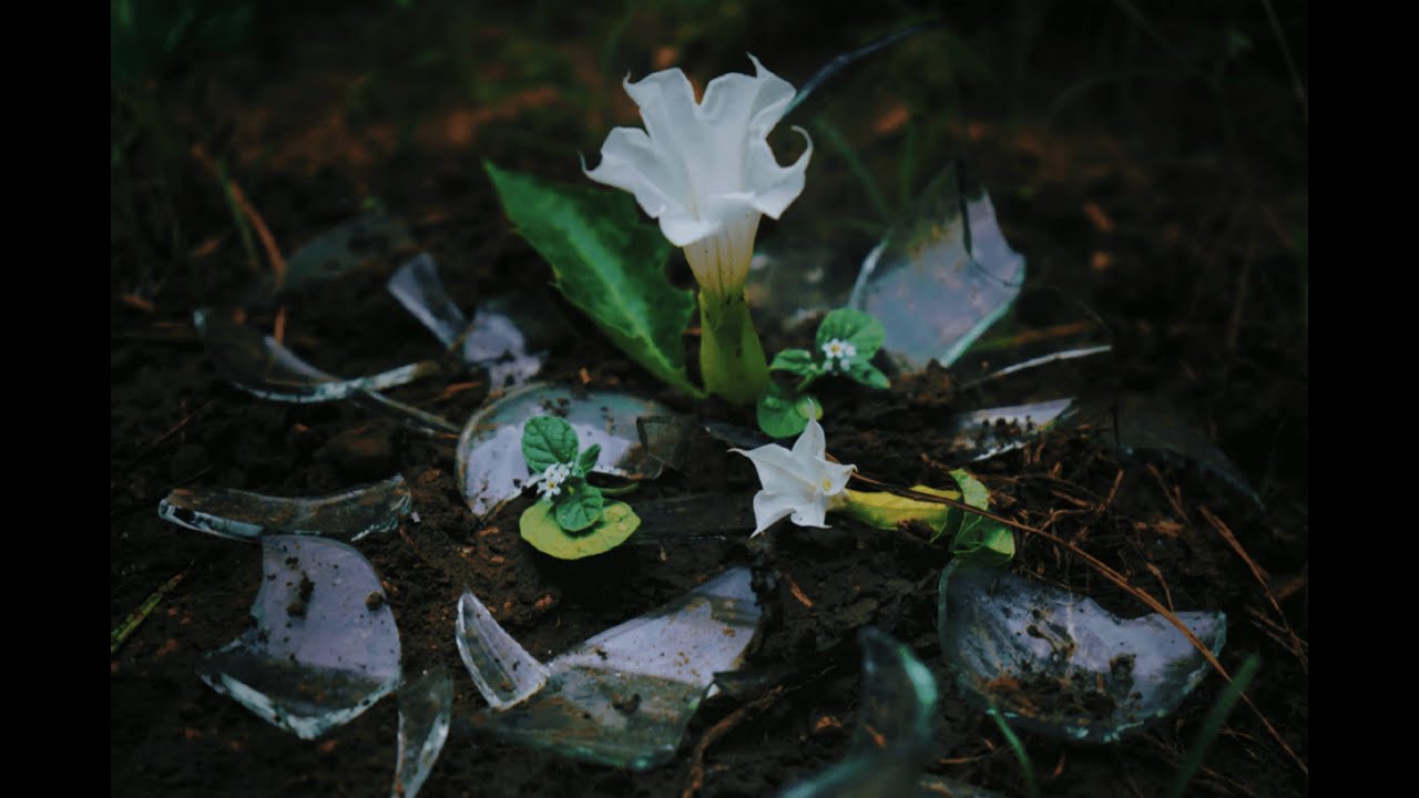 Fango in Paradiso (Francesca Michielin) Cover by Nappi Desirèe