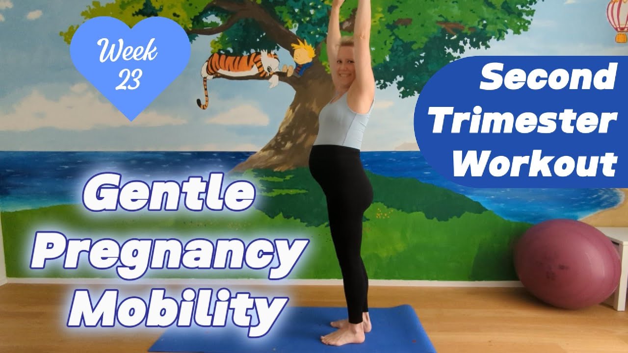 Prenatal Mobility & Stretching | Second Trimester Workout | Pregnant 23 weeks + 6 days