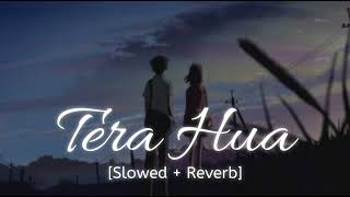 Download Lagu Tera Hua lofi || loveyatri || (Slowed+Reverb) Atif Aslam MP3