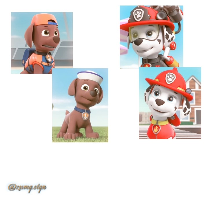 𝓈𝒽𝒶𝓂¹ᵈ ᵖᵃʷᐟᐟ🐾🤎 - YouTube