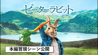 GREATEST HITS 映画の秋キャンペーン 9月16日（水）～9月30日（水）『ピーターラビット™』スペシャルプライスでデジタル配信