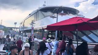 THE ULTIMATE Boardwalk Fantasea EXPERIENCE! 🌴