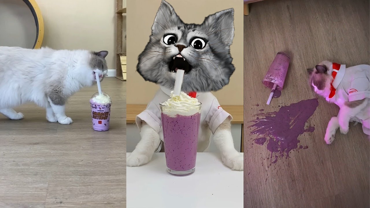 Grimace Shake İçeceğini Yapan Kedi🙀 | shorts videolarına tepki
