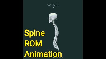 "Exploring Spinal Range of Motion: Animated Explanation"