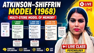 Atkinson -Shiffrin Model (1968)