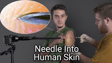 Zooming into Everyday Objects Close-Up (1000x Macro Camera test)