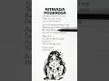 RITMADA PODEROSA Dancinha Lyrics English Translation TikTokTrend 