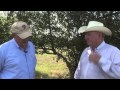 Ron Gill - Drought Cattle Management - Calf Management