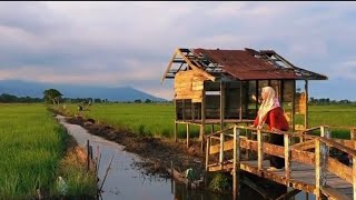 Suasana Keindahan Alam Pedesaanasri Dan Bikin Betah