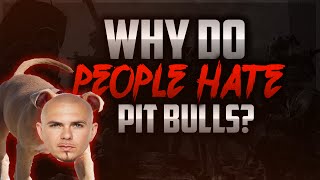 Why Do People Hate Pit bulls (Dog Breed) Are They Really Dangerous? All Myths [Rant Video]