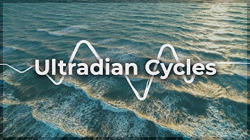 Ultradian Cycles | Harnessing ultradian cycles for holistic wellness and peak productivity