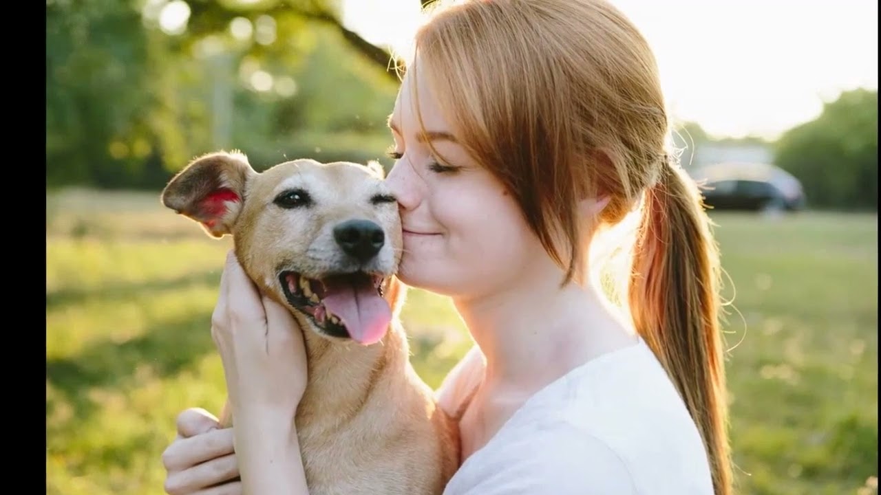 Is your adopted pet the cutest? Enter OSPCA photo contest by Dec. 17