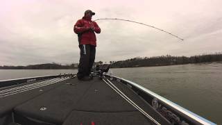 SPRO Aruka Shad