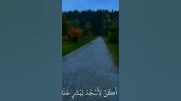 #اطمئن_وتوكل_على_الله #قرآن #لايك #القارئ_ياسر_الدوسري #راحة_نفسية #ترند #اكسبلور #duet #تيك_توك #تص