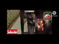 Tom Loves Angela Gameplay