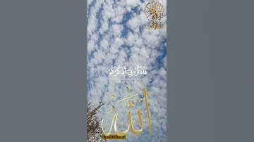 أرح سمعك بآيات القرآن الكريم مع السماء المليئه بالغيوم (فاذكروني أذكركم)