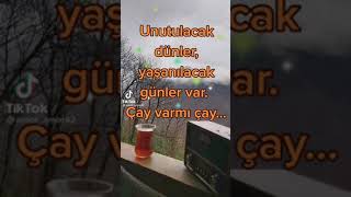 Çay Varmı Çay