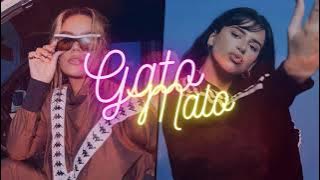 GATO MALO REMIX - KAROL G, Nathy Peluso - DJ DENIS