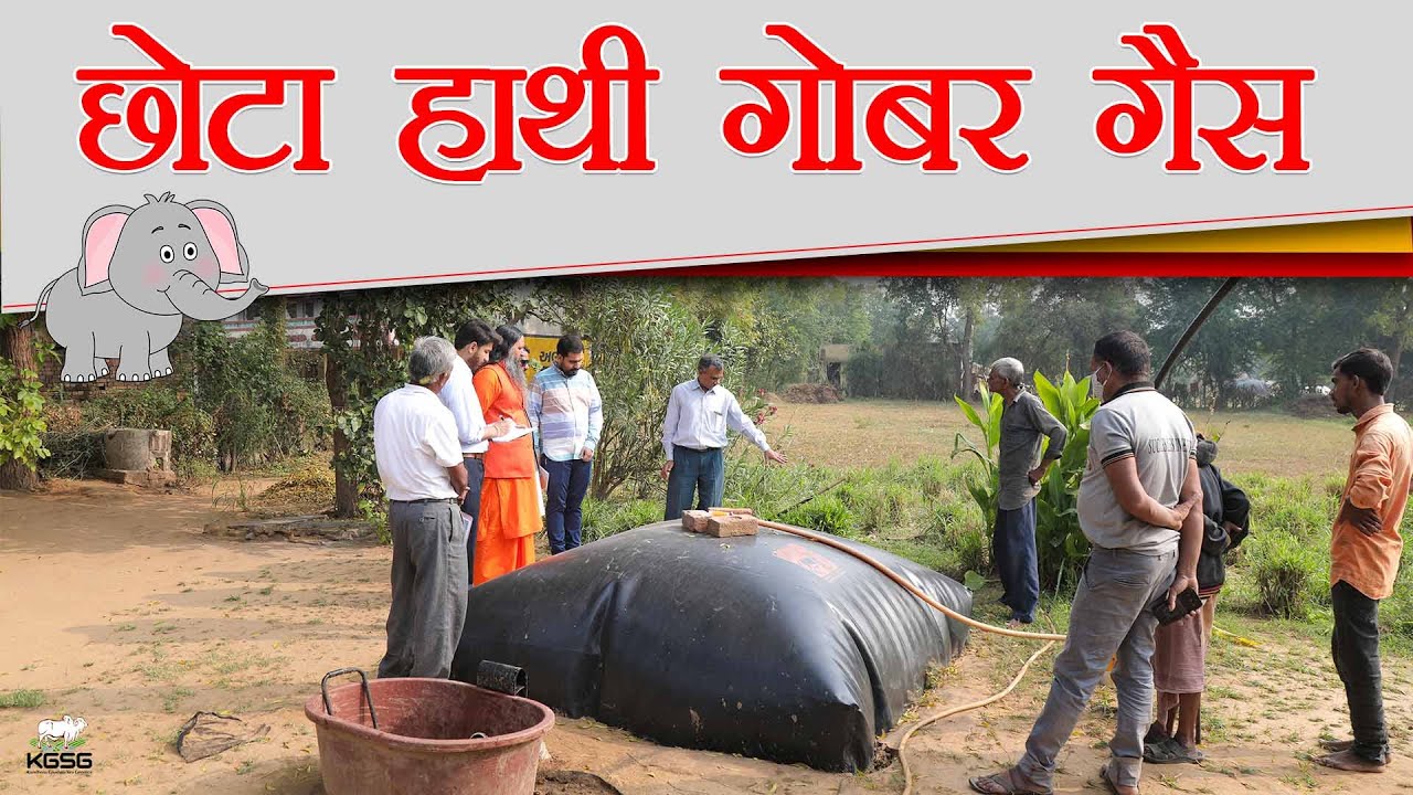 छोटा हाथी गोबर गैस | Biogas | Biogas Plant | Biogas Plant at home | Kamdhenu Gaushala