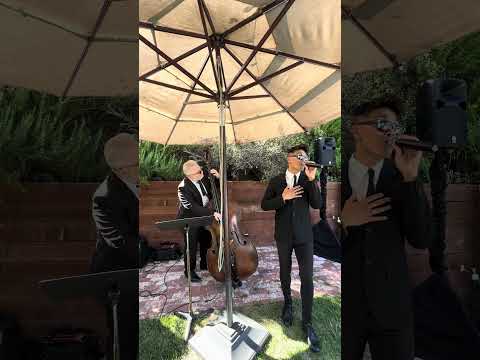 Los Angeles Wedding Music - Fly Me To the Moon - Jason Sulkin Music - JSM Acoustic