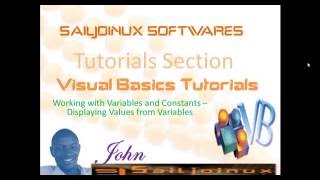 Celebrity Visual Basic Beginer Tutorial 20   Variables and Constants Displaying Values Wealth