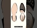 US Trend Bellies For Women