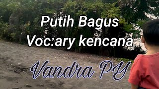 Video lirik lagu lawas Putih Bagus Voc:Ary Kencana|#lagubalilawas#lagubalikenagan#liriklagubalilawas