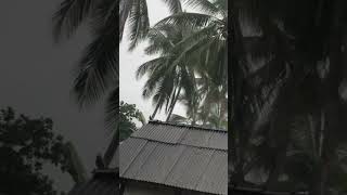 Soft Rain Sound in Bali screenshot 2