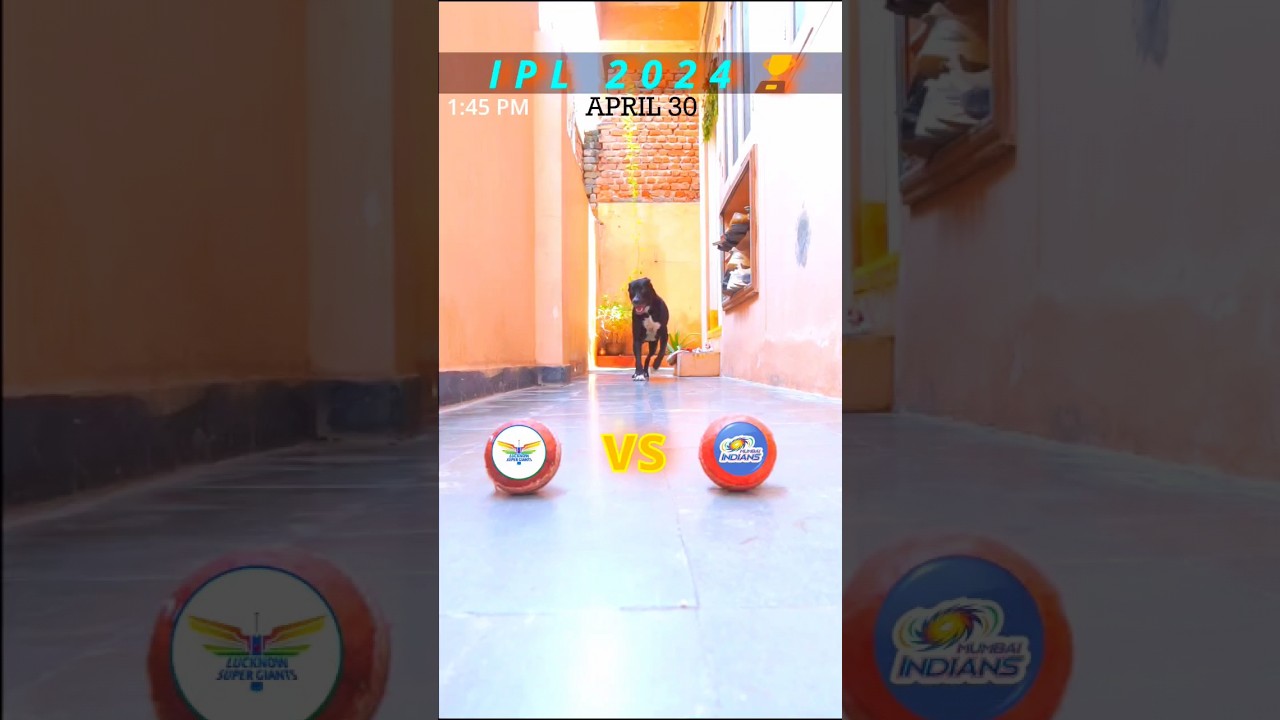 LSG VS MI MATCH PREDICTION | IPL 2024 | MATCH NO.48 |