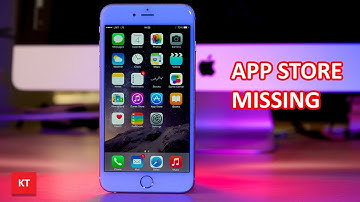 App store disappeared from iPhone or iPad
