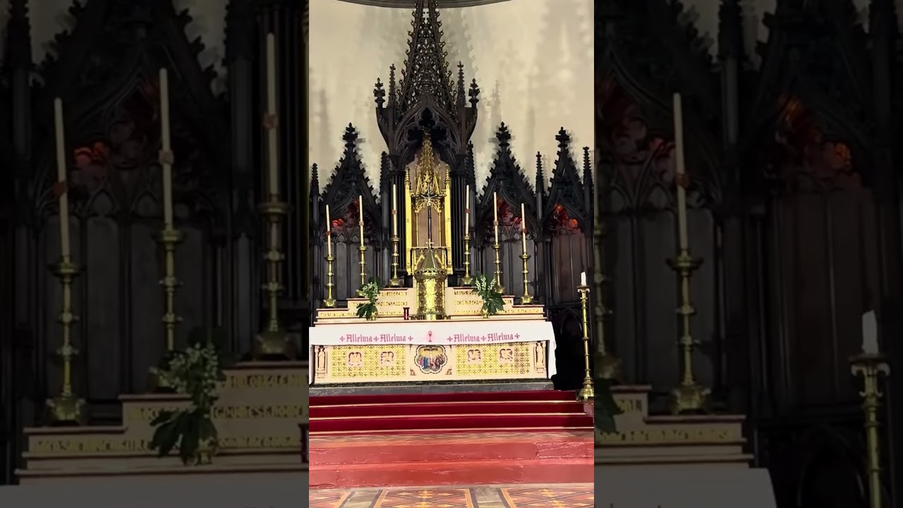 ദേവാലയ പ്രയാണം 4 St.Dominic’s Church  Newcastle 🏴󠁧󠁢󠁥󠁮󠁧󠁿 