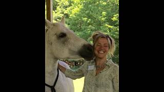 What s A Horse Conection Hudson Valley HorsePlay