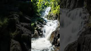 ntouched Natural Waterfall 🌿💦 | Pure Nature Magic ✨🏞️#Waterfall #Nature #NatureLovers #Shorts