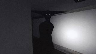 this stupid roblox horror game actually made me cry