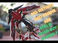 1/100 MG Gundam Astray Red Frame Kai - Review! Still a good model kit to have?