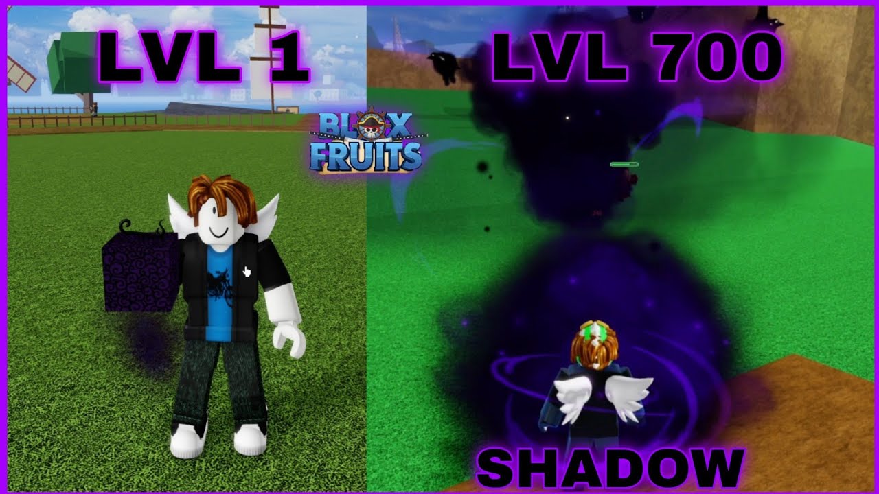 Blox Fruits Shadow Fruit guide – is it good, how to obtain, and moveset -  Gamepur